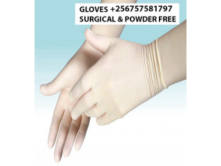 Best surgical and powder free gloves in Kampala Uganda