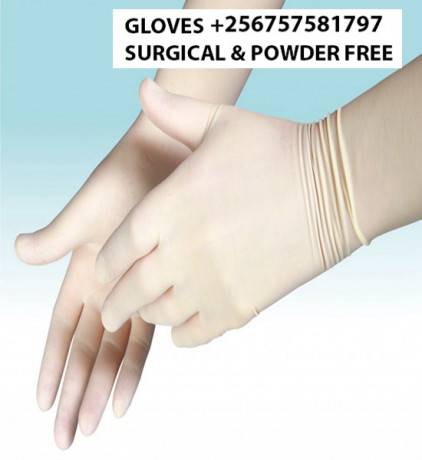 best-surgical-and-powder-free-gloves-in-kampala-uganda-big-0