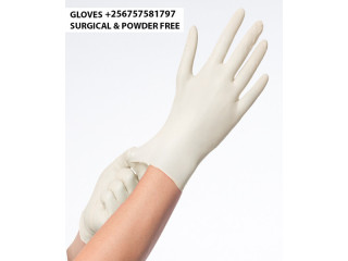 Best surgical and powder free gloves in Kampala Uganda