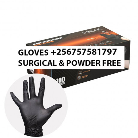 black-and-blue-food-service-gloves-in-kampala-uganda-big-0