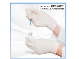 Best surgical and powder free gloves in Kampala Uganda