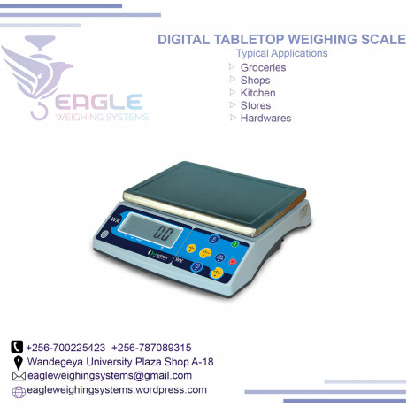 waterproof-type-stainless-steel-weighing-scales-in-jinja-big-0