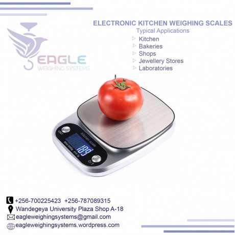 electronic-table-top-weighing-scales-in-jinja-big-0