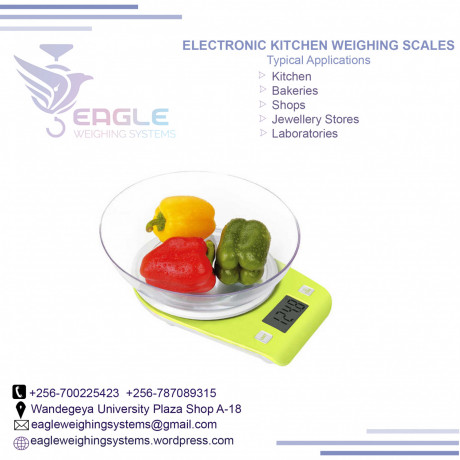 industrial-electronic-digital-weighing-scales-in-mukono-big-0