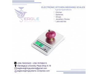 Stainless steel electronic weighing scales in kampala