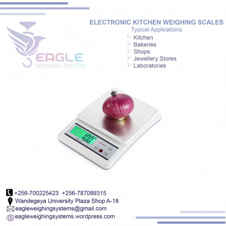 stainless-steel-electronic-weighing-scales-in-kampala-big-0