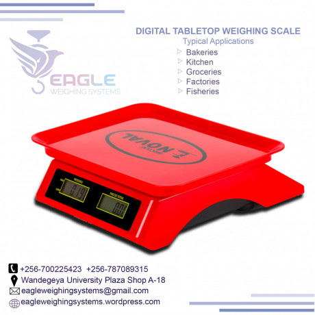 waterproof-weighing-scale-for-weighing-fish-in-mukono-big-0