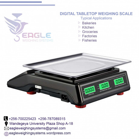 wholesale-high-precision-weighing-scales-in-mukono-big-0