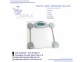 digital-bathroom-scales-at-eagle-weighing-systems-small-0