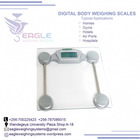 digital-bathroom-scales-at-eagle-weighing-systems-big-0