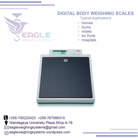 custom-designed-electronic-body-weighing-scale-in-mukono-big-0