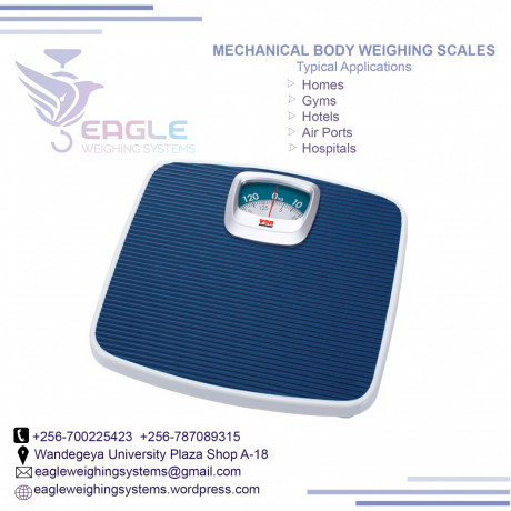 digital-bathroom-scales-at-eagle-weighing-systems-big-0