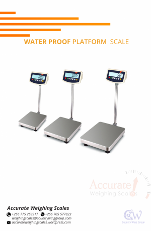 water-proof-platform-weighing-scales-for-industrial-use-in-mpigiuganda-256-0-256-0-big-0