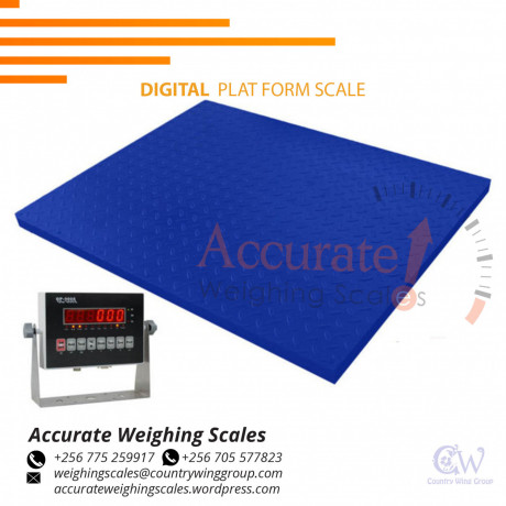 who-is-the-leading-supplier-of-platform-weighing-scales-in-hoimauganda-256-0-256-0-big-0