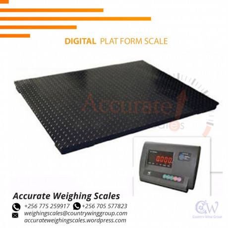 standard-digital-platform-weighing-scales-with-tare-function-indicator-for-sale-mbale-uganda-256-0-256-0-big-0