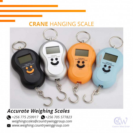 supplier-of-standard-digital-luggage-weighing-scales-for-trade-kira-kampala-256-0-256-0-big-0