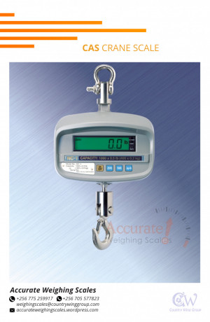 cas-digital-crane-weighing-scales-with-aluminum-alloy-housing-up-from-supplier-in-arua256-0-256-0-big-0