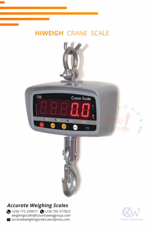 hiweigh-crane-weighing-scale-with-lcd-backlit-display-on-sale-in-mbale-uganda256-0-256-0-big-0