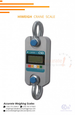 electronic-30kg-crane-weighing-scales-for-sale-from-supplier-shop-in-gulu-uganda-256-0-256-0-big-0