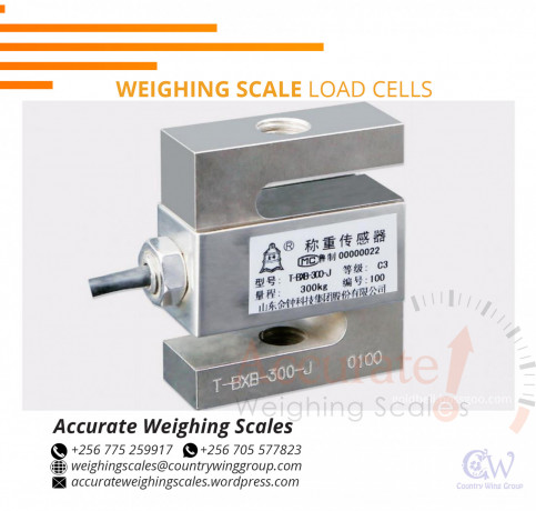 s-shaped-load-cell-crane-weighing-scales-hot-prices-in-wandegeya-uganda-256-0-256-0-big-0