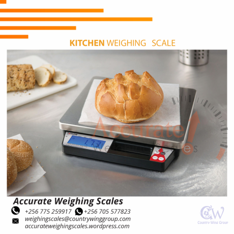 commercial-kitchen-weighing-scale-with-aluminum-load-cell-supporter-in-gayaz256-0-256-0-a-big-0