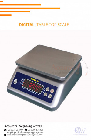 waterproof-acdc-table-top-scale-adaptor-for-fish-weighing-in-wandegeyakampala-256-0-256-0-big-0