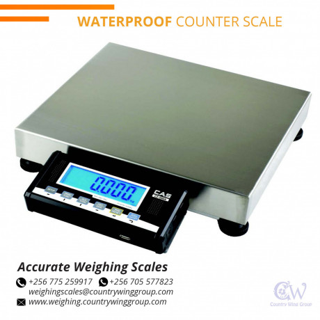 how-much-is-a-waterproof-table-top-weighing-scale-in-kamukuzi-mbarara-256-0-256-0-big-0