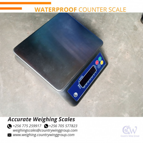 industrial-waterproof-weighing-scale-at-discount-at-affordable-prices-luweero-256-0-256-0-big-0