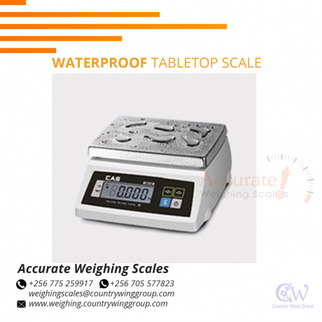 nutritional-waterproof-table-top-scales-for-fresh-vegetables-gulu-uganda-256-0-256-0-big-0