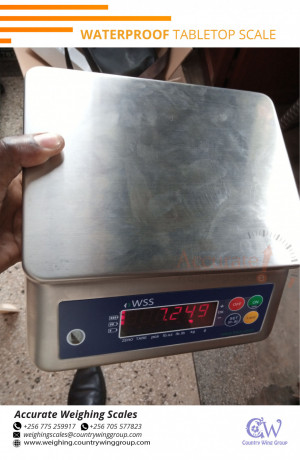 waterproof-stainless-steel-tabletop-scales-available-on-market-namutumbauganda256-0-256-0-big-0