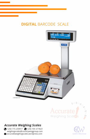 barcode-printer-scale-with-datetime-setup-in-jinja-e-256-0-256-0-big-0