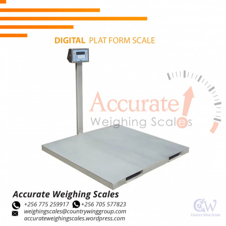 standard-digital-platform-weighing-scales-with-tare-function-indicator-for-sale-mbale-uganda-256-0-256-0-big-0