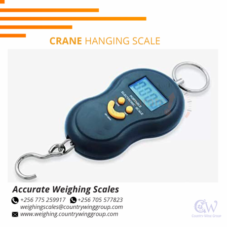 luggage-weighing-scales-with-oiml-classiii-accuracy-for-local-business-katwe-256-0-256-0-big-0