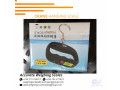 purchase-luggage-scales-with-various-colors-at-supplier-shop-kalwere-256-0-256-0-small-0