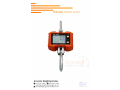 do-you-need-a-digital-crane-weighing-scale-from-suppliers-shop-in-wandegeya-small-0