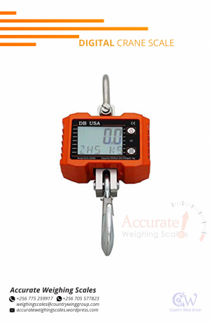 do-you-need-a-digital-crane-weighing-scale-from-suppliers-shop-in-wandegeya-big-0