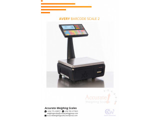 Barcode printing scale with 1/3000 display resolution on +256 (0 , +256 (0 