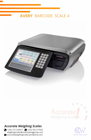 barcode-printing-scale-with-printing-speed-50mms-with-1year-warranty-big-0