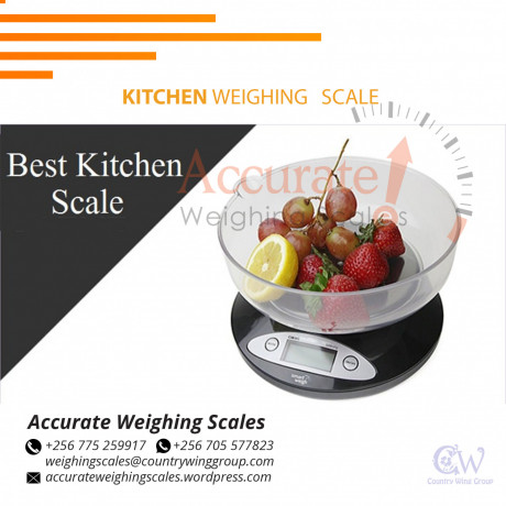 improved-washdown-kitchen-weighing-with-double-led-backlit-for-sale-iganga-big-0