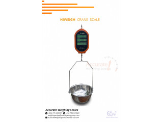 Crane weighing scale with high temperature protecting plate hot prices Kabuusu