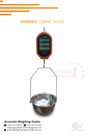 crane-weighing-scale-with-high-temperature-protecting-plate-hot-prices-kabuusu-big-0