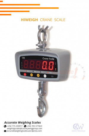 are-you-looking-for-a-crane-weighing-scale-accurate-weighing-scales-has-got-you-big-0