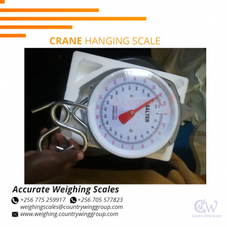 salter-dial-crane-weighing-scale-for-sale-kamuli-uganda-big-0