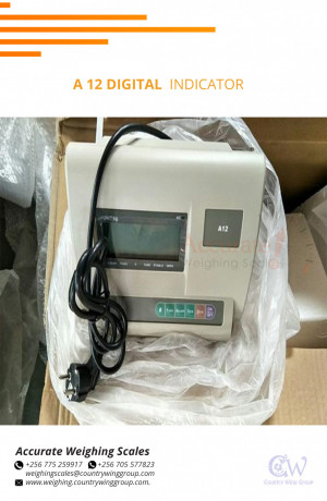 a12-stainless-steel-housing-weighing-indicator-for-wet-environments-at-affordable-prices-kampala-big-0