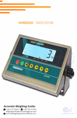 hiweigh-type-remote-display-indicator-with-high-luminance-for-sale-masaka-big-0
