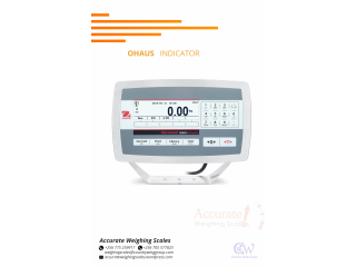 Ohaus type remote display indicator with steel housing Butaleja, Uganda