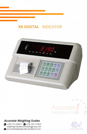 waterproof-xk-indicator-ip66-protection-class-for-sell-at-a-supplier-shop-wandegeya-big-0