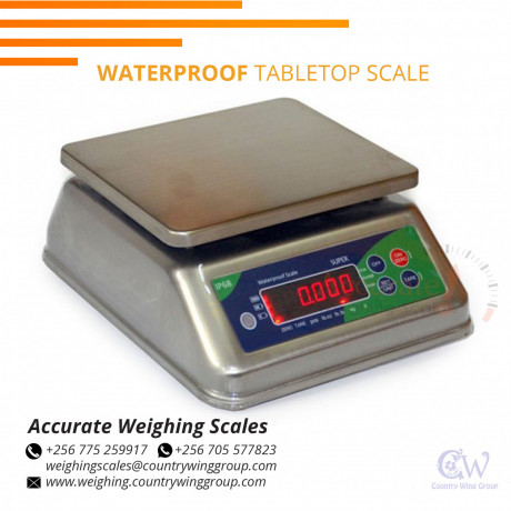 whose-supplier-shop-sells-waterproof-table-top-scales-in-mukono-uganda-big-0