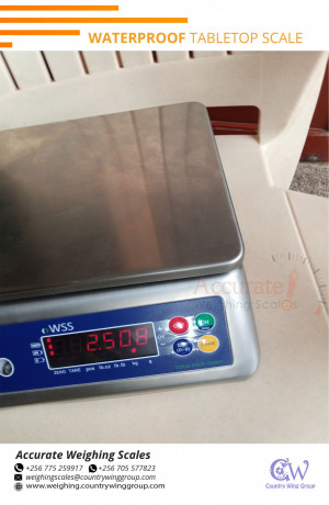 purchase-waterproof-table-top-weighing-scales-at-affordable-prices-lyantonde-big-0