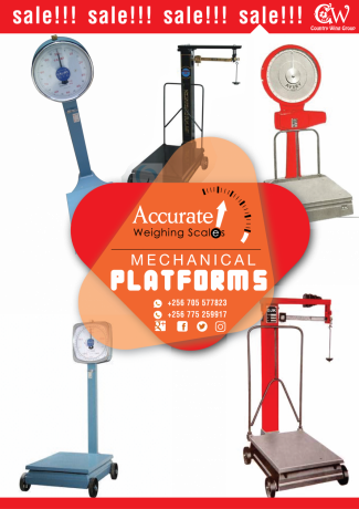 platform-weighing-scale-with-a-wide-stainless-steel-column-and-plate-at-supplier-shop-kampala-big-0